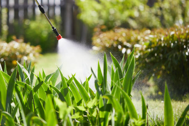 24/7 Emergency Mosquito Control experts in Hutchinson, MN