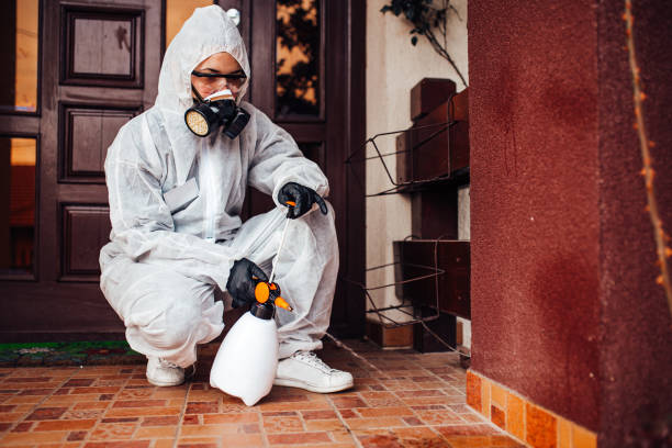 Reliable Mosquito Control contractor in Hutchinson, MN by Show Me Pest Control