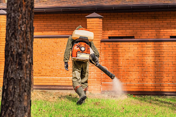 Top rated local Mosquito Control specialists in Hutchinson, MN